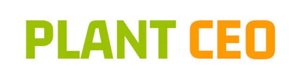 Willicroft: Plant-Based cheese made from beans & pulses