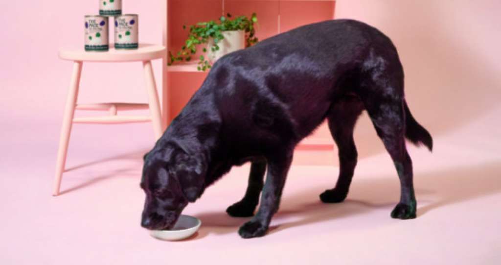 Animal rendering 2024 dog food companies