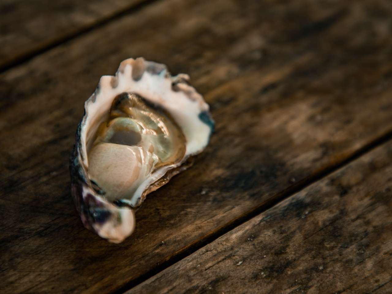 Pearlita Foods Develops Alternative Oysters for Sustainable Seafood
