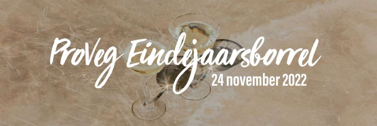 Eindejaarsborrel ProVeg Impact Club