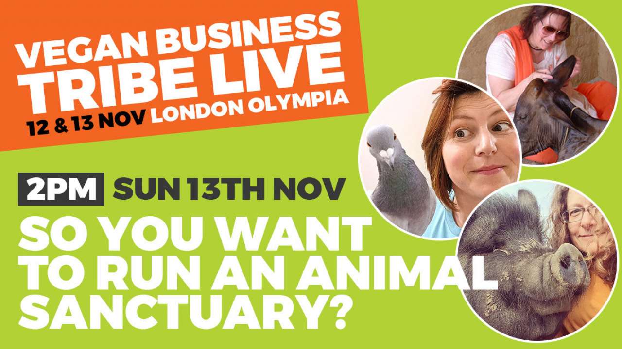 So you want to run an animal sanctuary? Event Vevolution