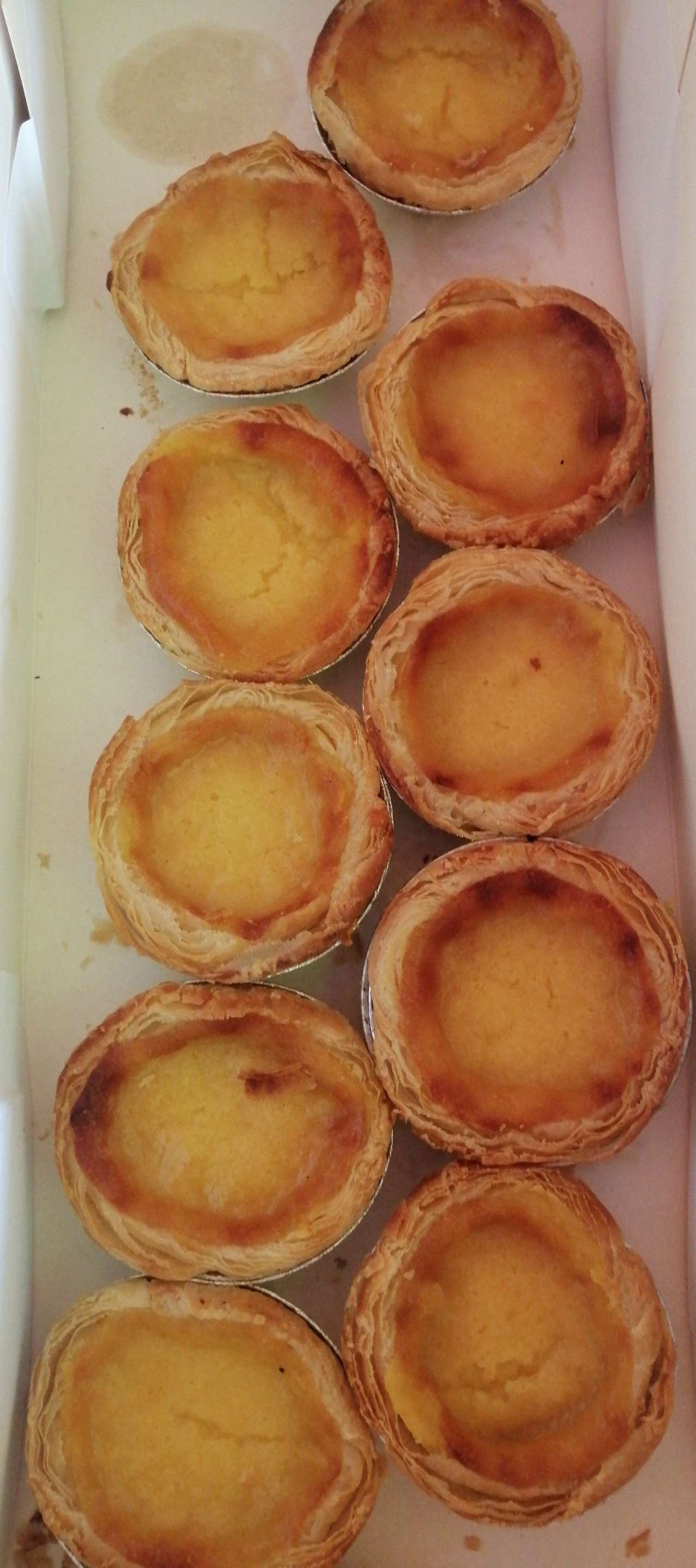 Plant-based Foods Factory construction