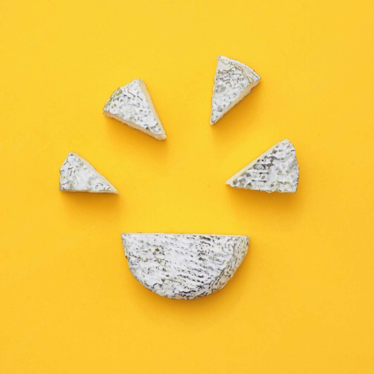 Quarter 1 Fundraising Report: Cultivated Scaleup, 1st Vegan Buttermilk, &  Spanish Cheese - Articles - Vevolution