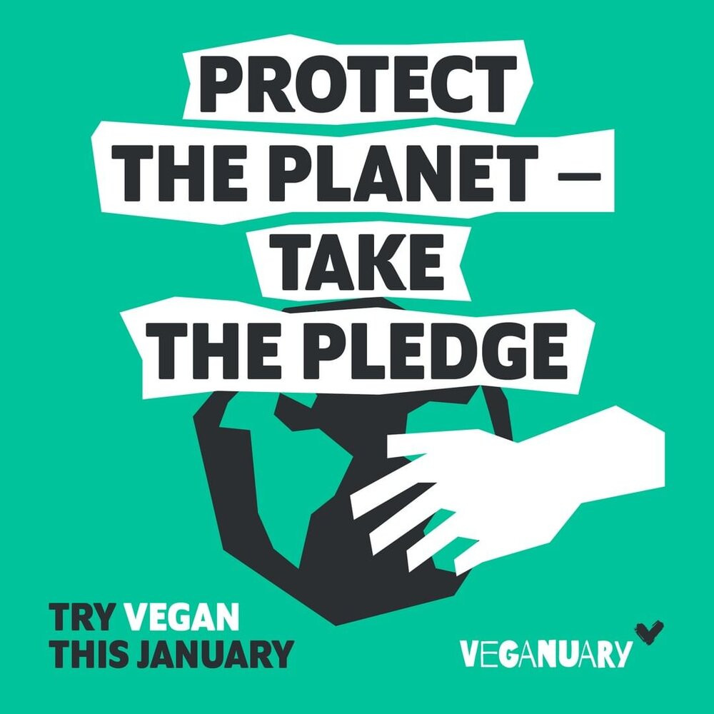 The Environmental Impact of Taking Part in Veganuary 2020